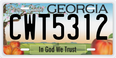 GA license plate CWT5312