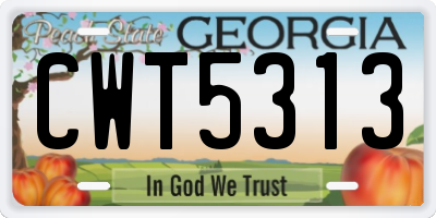 GA license plate CWT5313
