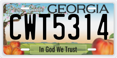 GA license plate CWT5314