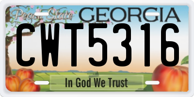 GA license plate CWT5316