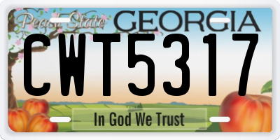 GA license plate CWT5317