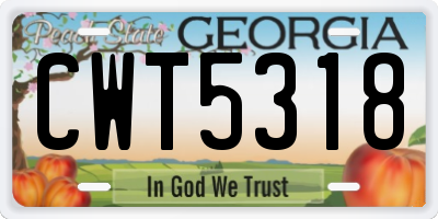 GA license plate CWT5318