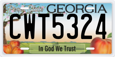 GA license plate CWT5324