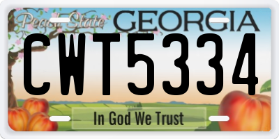 GA license plate CWT5334