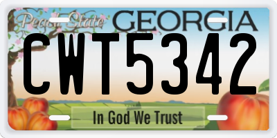 GA license plate CWT5342
