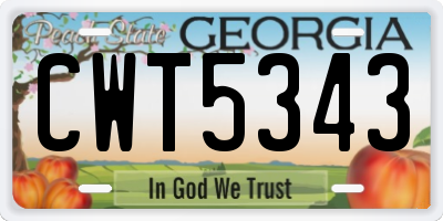 GA license plate CWT5343