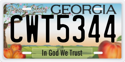 GA license plate CWT5344