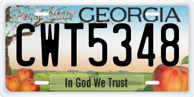 GA license plate CWT5348