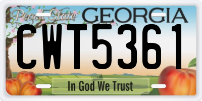 GA license plate CWT5361
