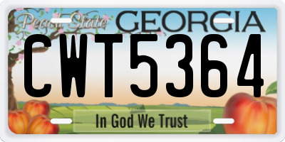 GA license plate CWT5364