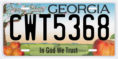 GA license plate CWT5368