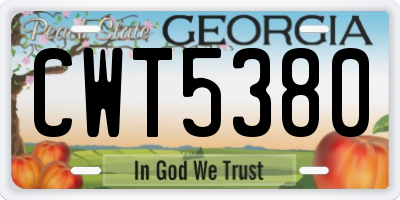 GA license plate CWT5380