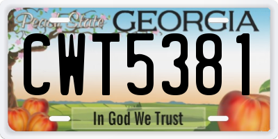 GA license plate CWT5381