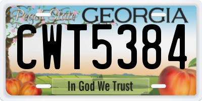 GA license plate CWT5384