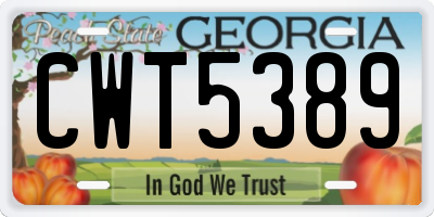 GA license plate CWT5389
