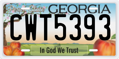 GA license plate CWT5393