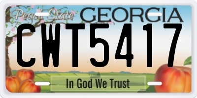 GA license plate CWT5417