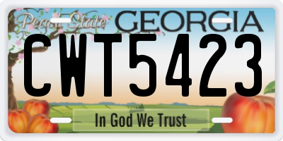 GA license plate CWT5423