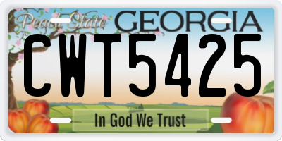 GA license plate CWT5425
