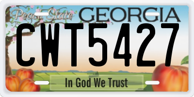 GA license plate CWT5427