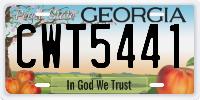 GA license plate CWT5441