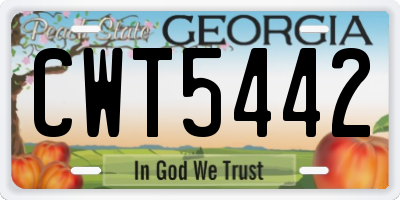 GA license plate CWT5442