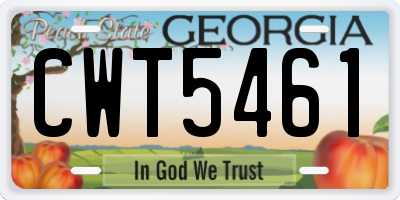GA license plate CWT5461