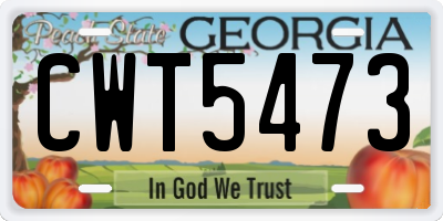 GA license plate CWT5473