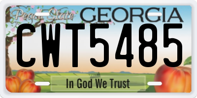 GA license plate CWT5485
