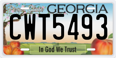 GA license plate CWT5493