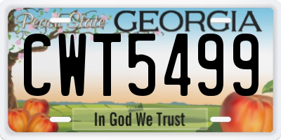 GA license plate CWT5499