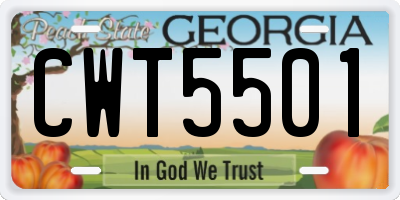 GA license plate CWT5501