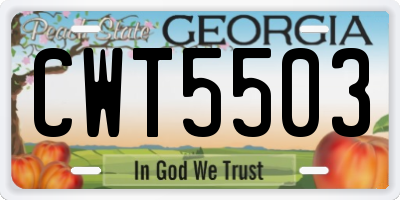 GA license plate CWT5503