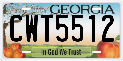 GA license plate CWT5512