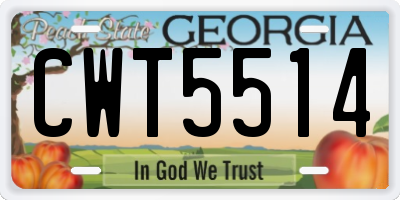 GA license plate CWT5514