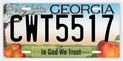 GA license plate CWT5517