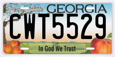 GA license plate CWT5529