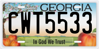 GA license plate CWT5533