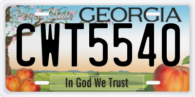 GA license plate CWT5540