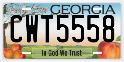 GA license plate CWT5558