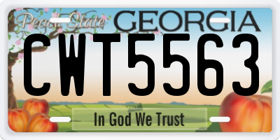 GA license plate CWT5563