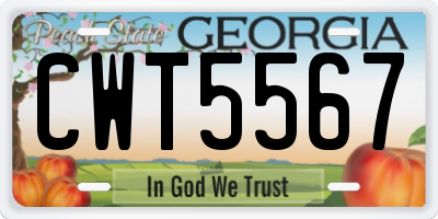 GA license plate CWT5567