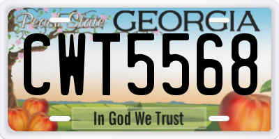 GA license plate CWT5568