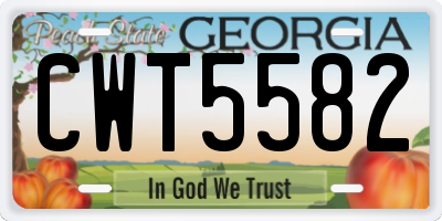 GA license plate CWT5582