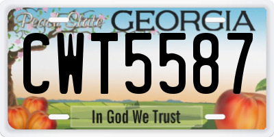 GA license plate CWT5587