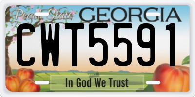 GA license plate CWT5591