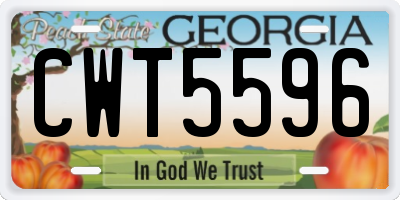 GA license plate CWT5596