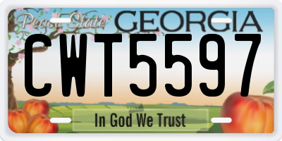 GA license plate CWT5597