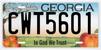 GA license plate CWT5601