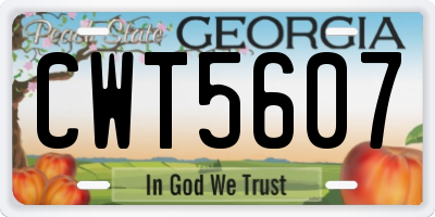 GA license plate CWT5607